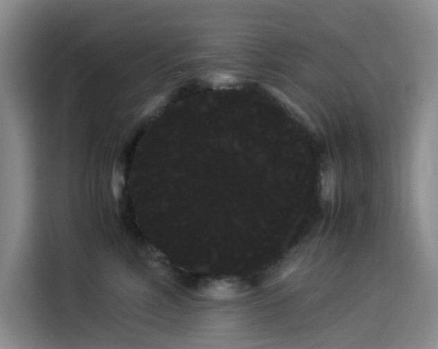 X0000114190618200910161206