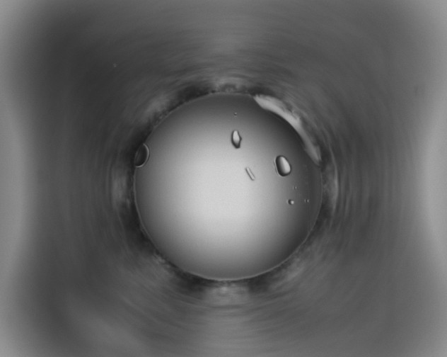 X0000114190619200910161206