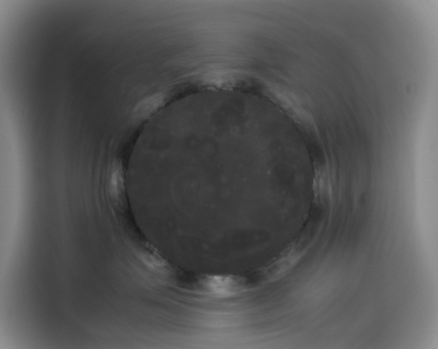 X0000114190623200910161206