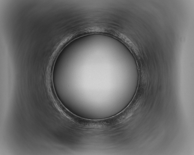 X0000114190625200910161205