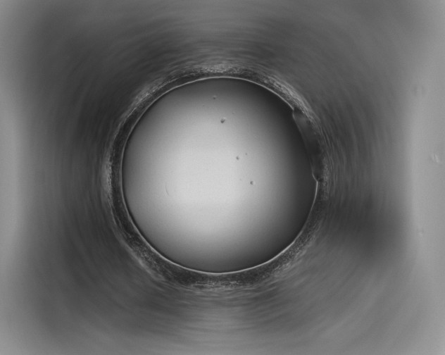 X0000114190626200910161205