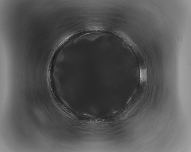 X0000114190627200910161205