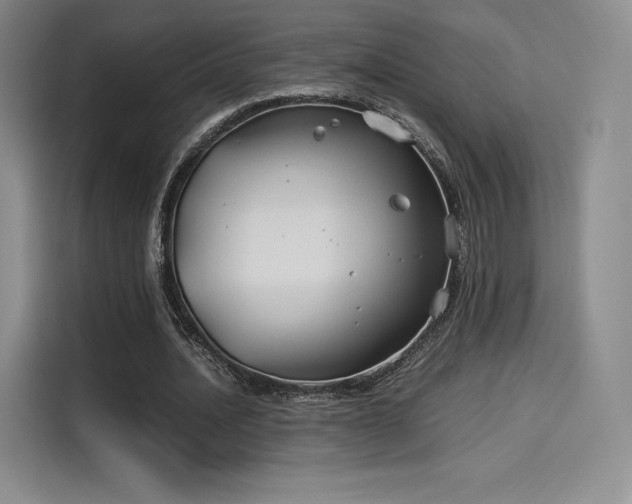 X0000114190628200910161205