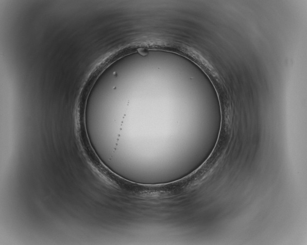 X0000114190629200910161205
