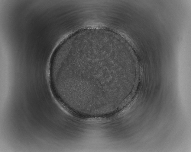 X0000114190630200910161205