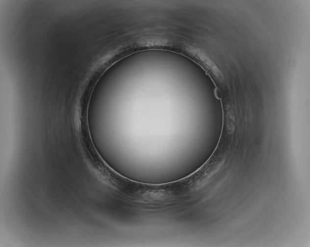 X0000114190631200910161205