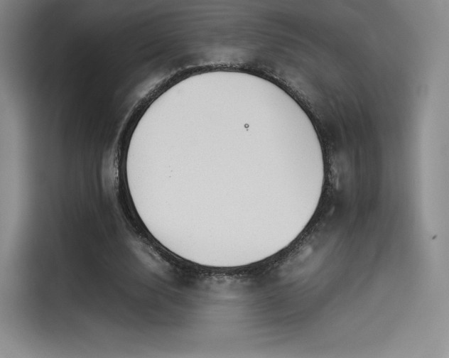 X0000114190632200910161205