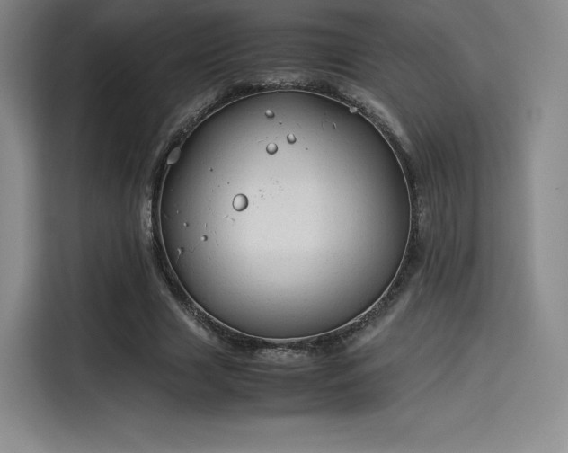 X0000114190633200910161205