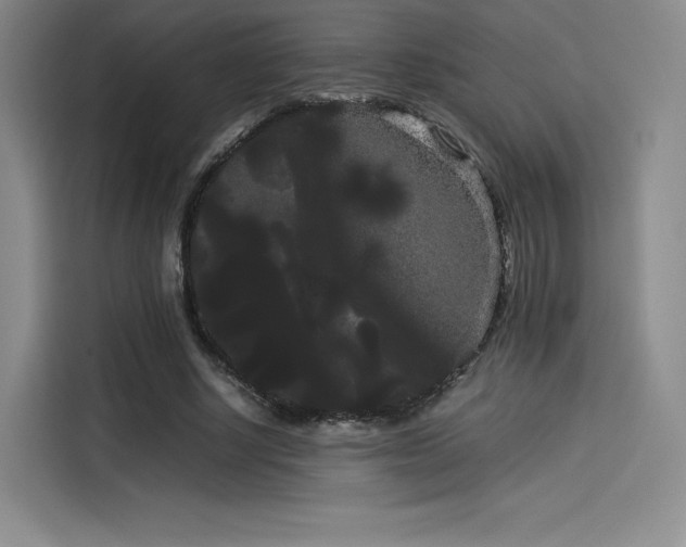 X0000114190634200910161205