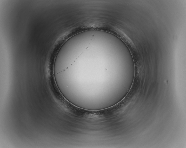 X0000114190635200910161205