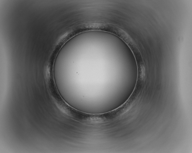 X0000114190636200910161205