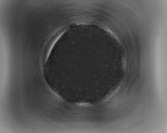 X0000114190637200910161205