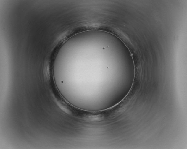 X0000114190638200910161205