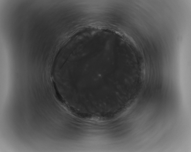 X0000114190641200910161205