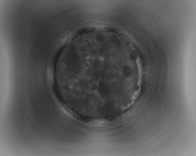 X0000114190642200910161205