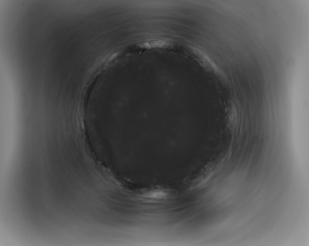 X0000114190643200910161205