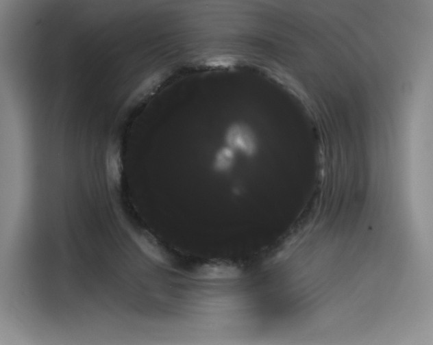 X0000114190644200910161205