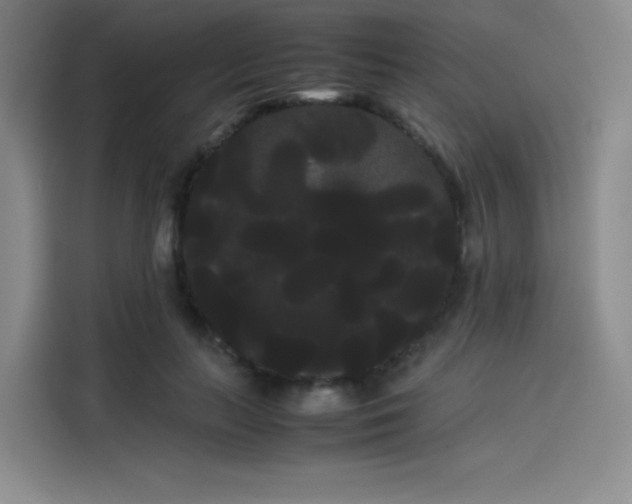 X0000114190647200910161205