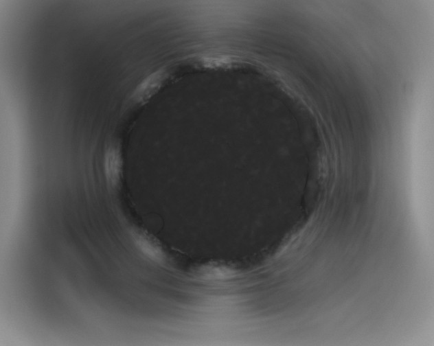X0000114190648200910161206