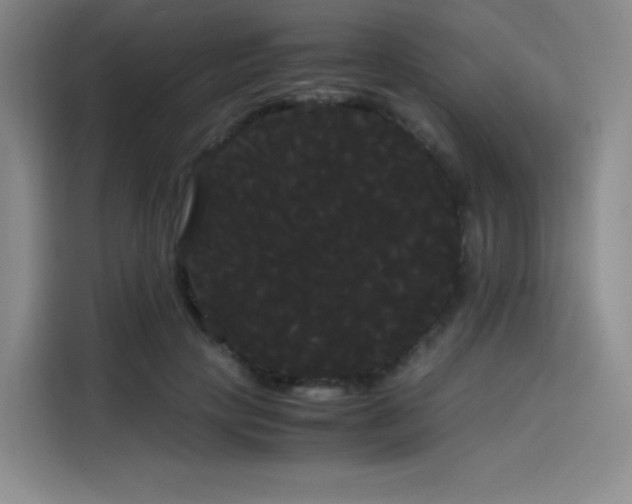 X0000114190649200910161206