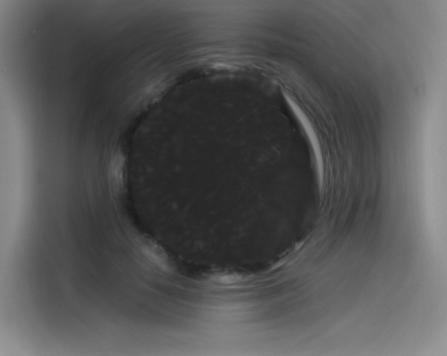X0000114190650200910161206