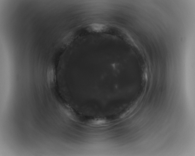 X0000114190651200910161206