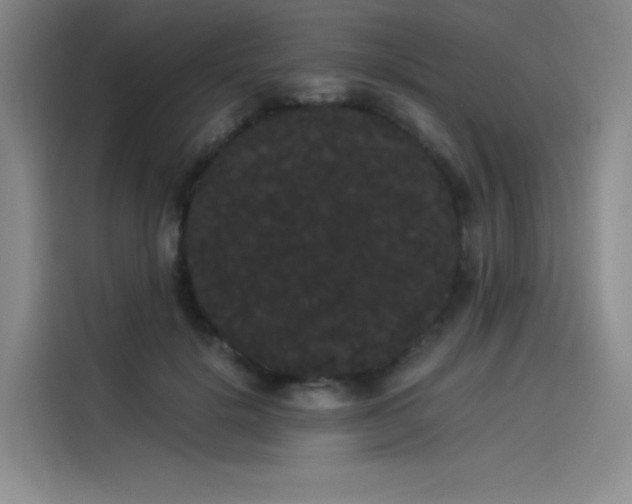 X0000114190652200910161206
