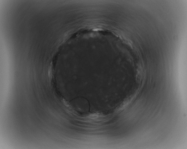 X0000114190659200910161206