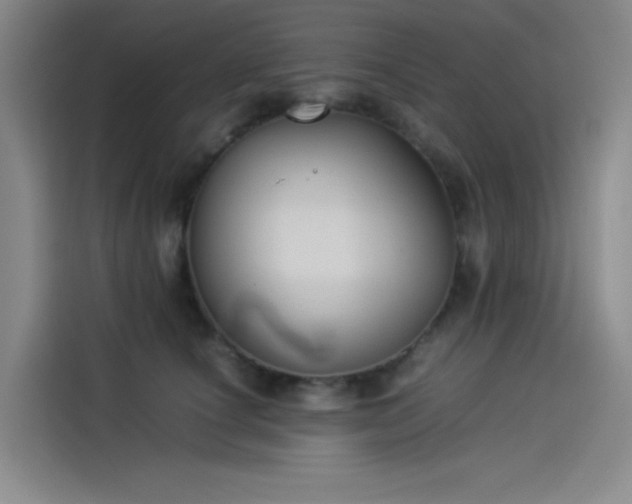X0000114190660200910161206