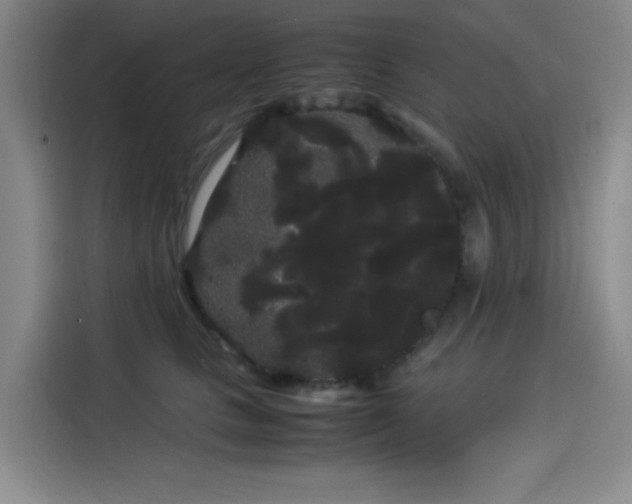 X0000114190661200910161206