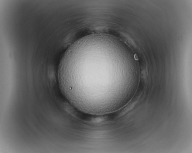 X0000114190662200910161206