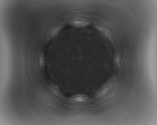 X0000114190663200910161206