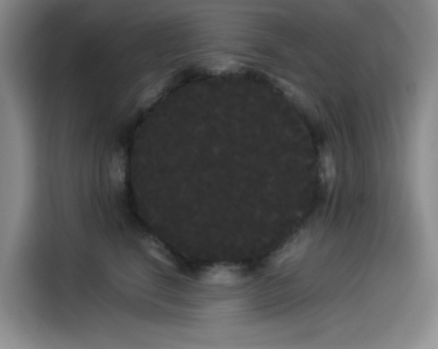 X0000114190664200910161206