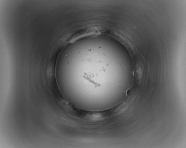 X0000114190665200910161206