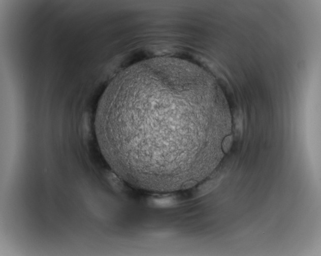 X0000114190667200910161206
