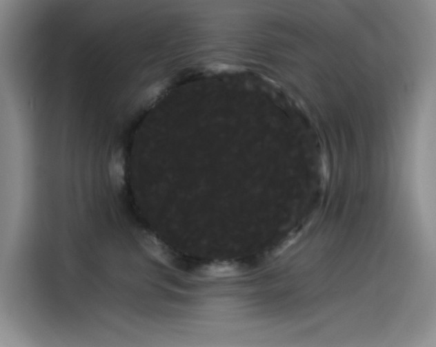 X0000114190668200910161206