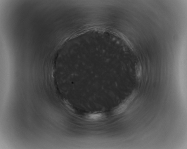 X0000114190669200910161206