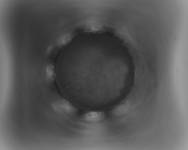X0000114190672200910161206