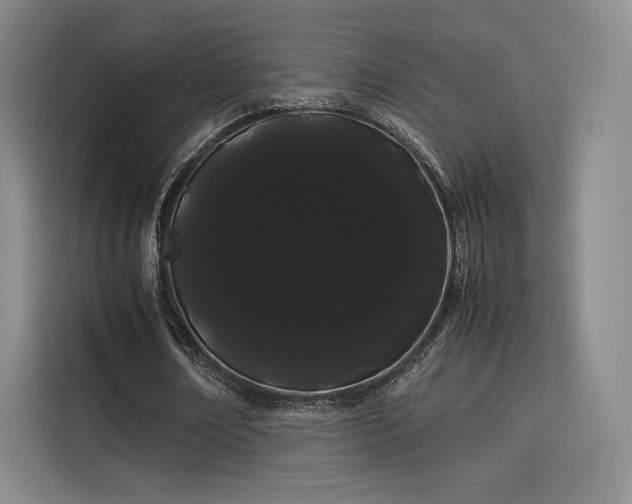 X0000114190674200910161205