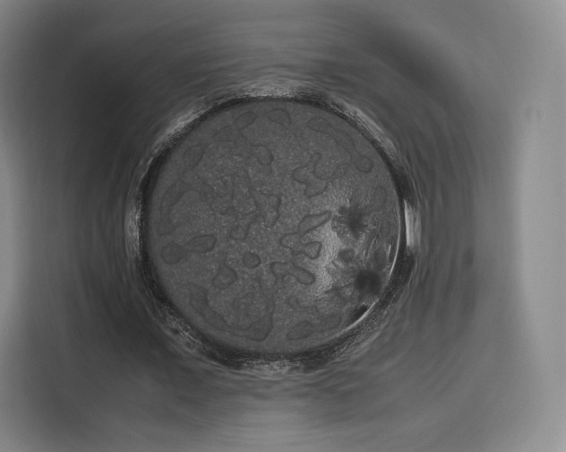 X0000114190675200910161205