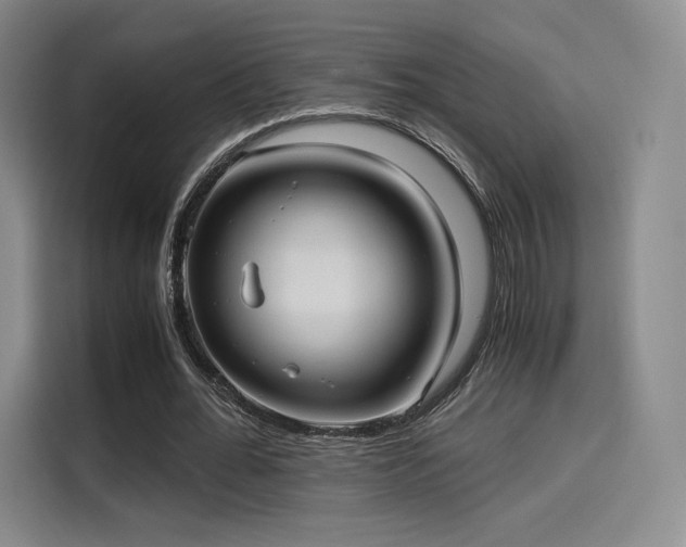 X0000114190676200910161205