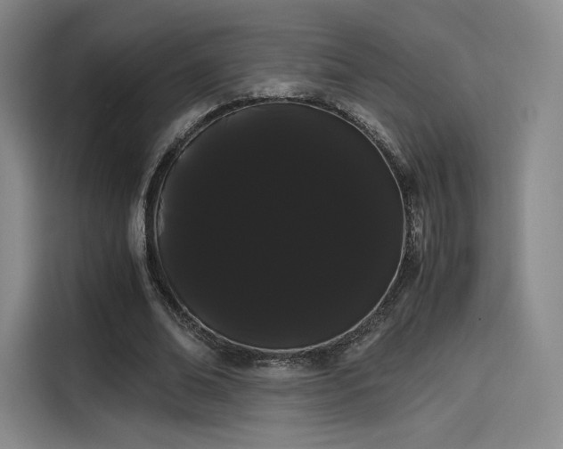X0000114190678200910161205