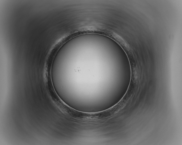 X0000114190680200910161205