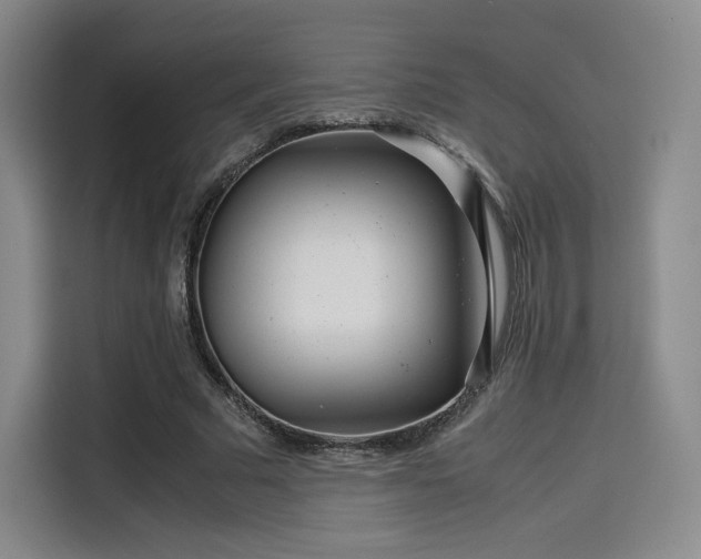 X0000114190681200910161205
