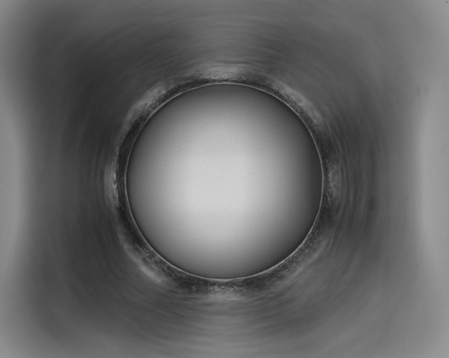 X0000114190682200910161205