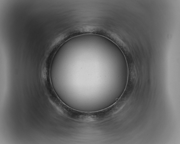 X0000114190683200910161205