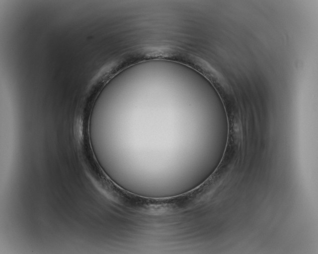 X0000114190686200910161205