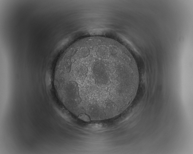 X0000114190687200910161205