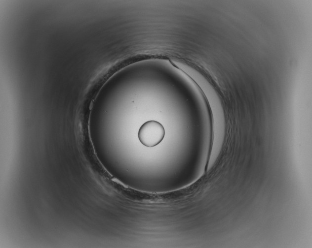 X0000114190688200910161205