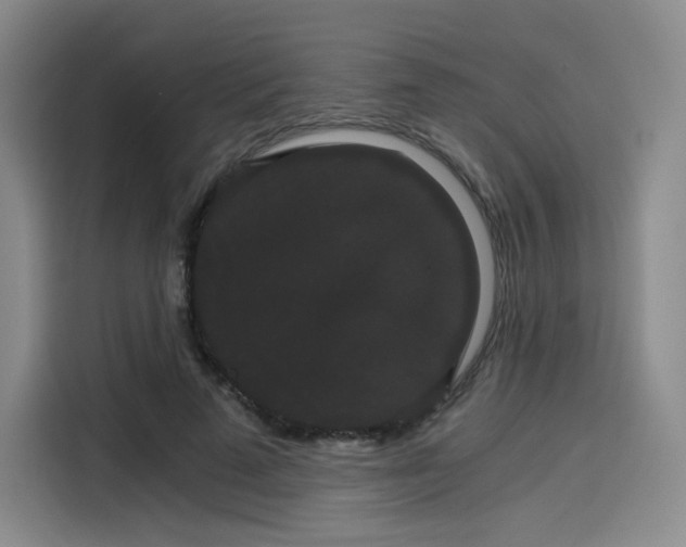 X0000114190689200910161205